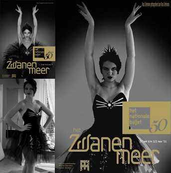 zwanenmeer_diy