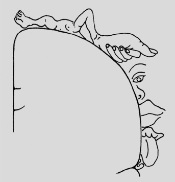 cortical_homunculus